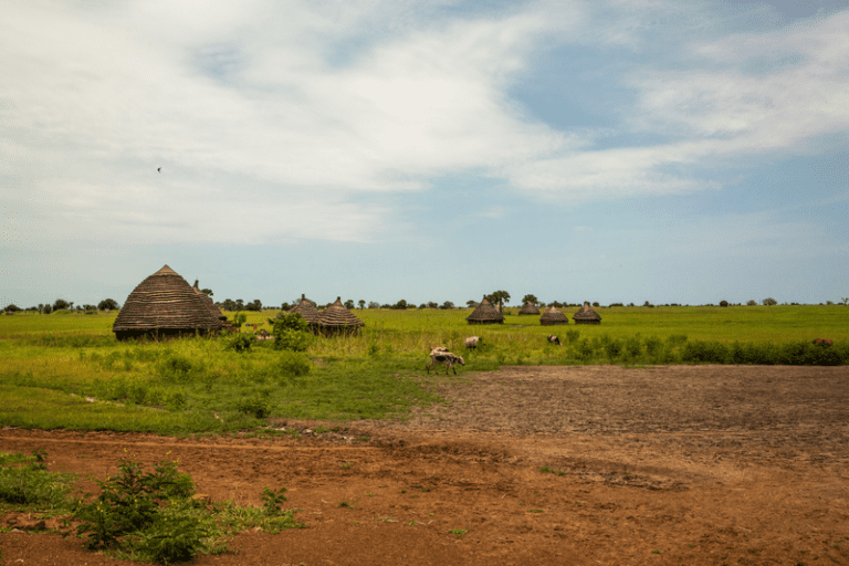 webimage BB72B9B9 AC65 46B1 BFDE128DC9472AF7