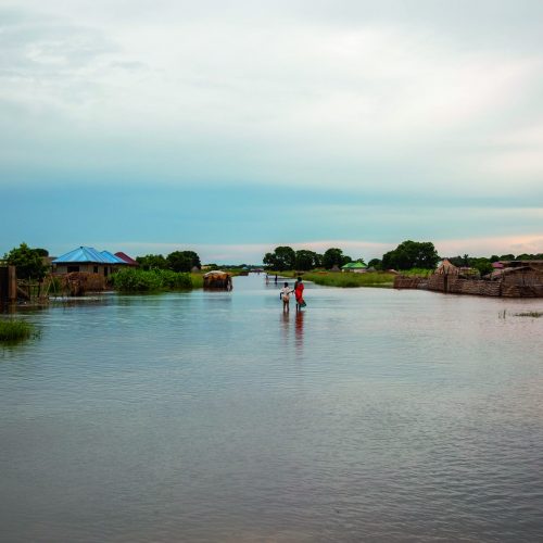 Photo 13 - Sélection environnement_Soudan du Sud _ © Patrick Meinhardt   ALIMA_4